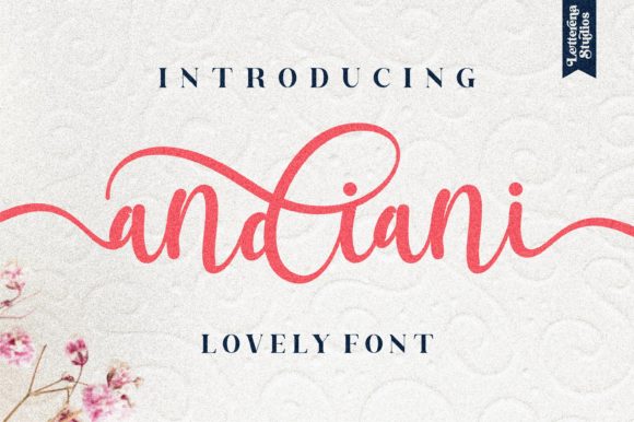 Andiani Font: A Web Designer’s Review of Its Digital Elegance