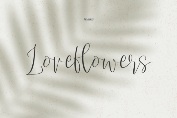 Love Flowers Font: A Web Designer’s Review for Digital Branding