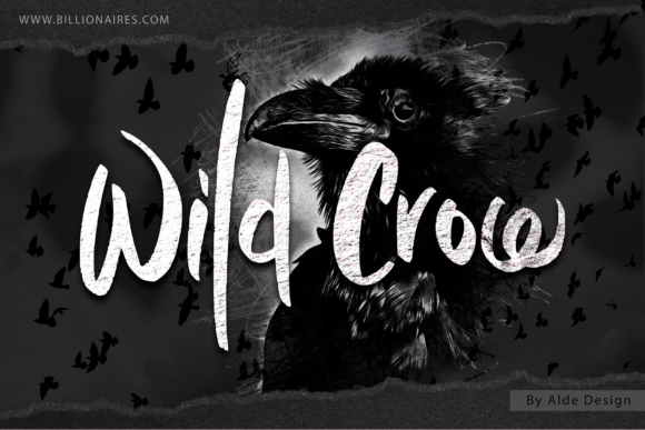 Wild Crow: A Handwritten Font for Small Brands